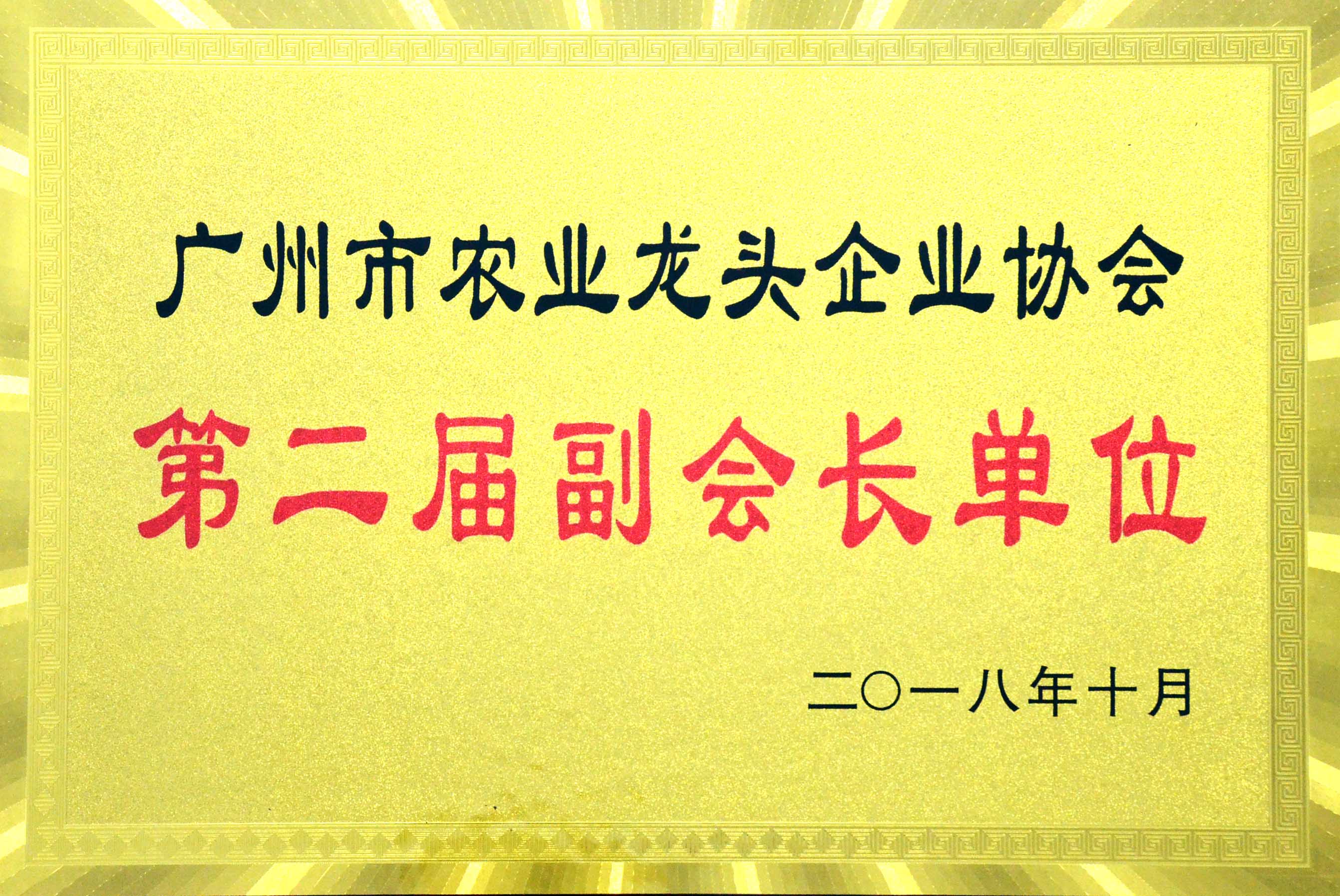 廣州市農業(yè)龍頭企業(yè)協(xié)會(huì )副會(huì )長(cháng)